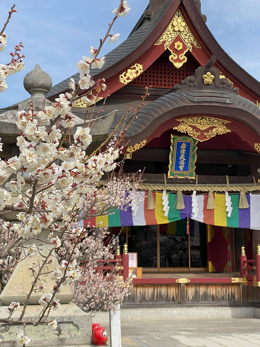 🐇 오카자키 신사(오카자키진자) 이미지 12